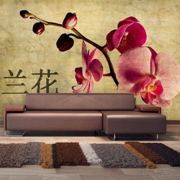 Fototapet Arkiio Japanese orchid 450x270 cm