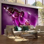 Fototapet Arkiio Fairy tale and orchid 450x270 cm