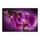 Fototapet Arkiio Fairy tale and orchid 450x270 cm