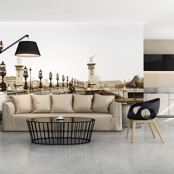 Fototapet Arkiio Alexander III Bridge, Paris 450x270 cm