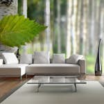 Fototapet XXL Arkiio Björklöv 550x270 cm