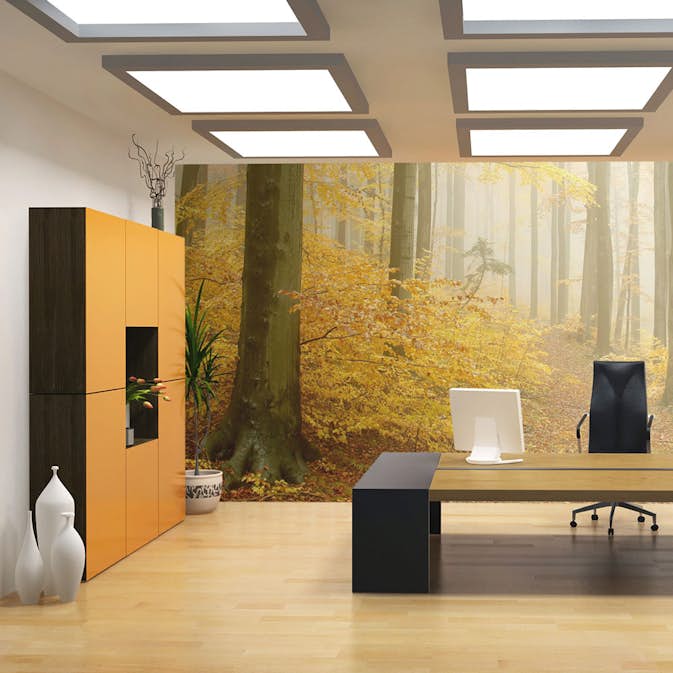 Fototapet Arkiio Skog Höst