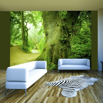 Fototapet Arkiio Skog Vägen