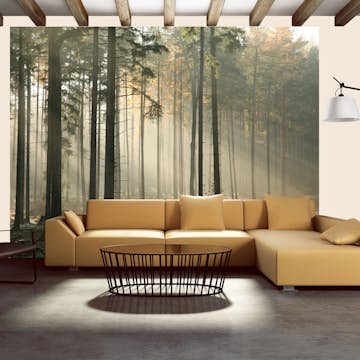 Fototapet Arkiio Foggy November Morning