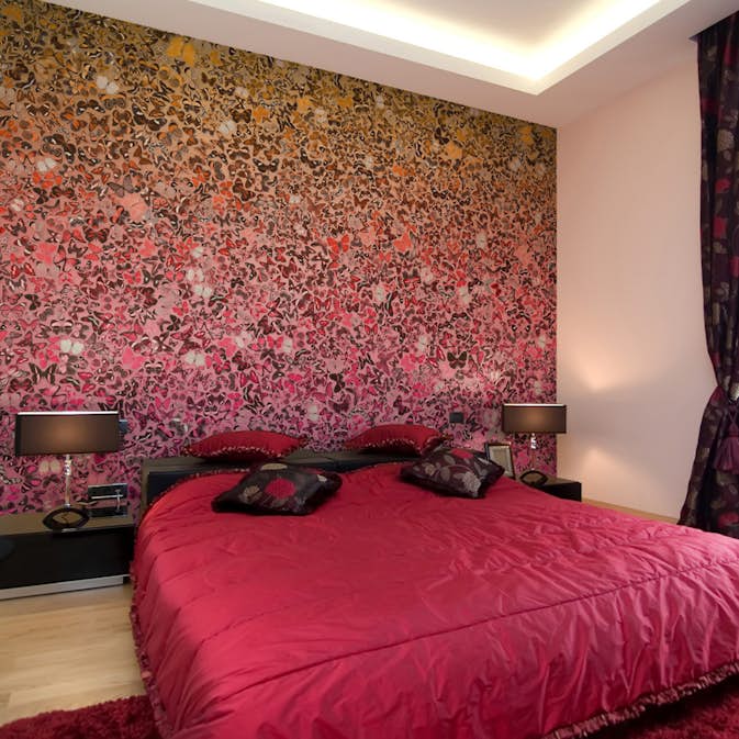 Fototapet Arkiio Språket Av Fjärilar