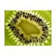 Fototapet Arkiio Frukter: Kiwi