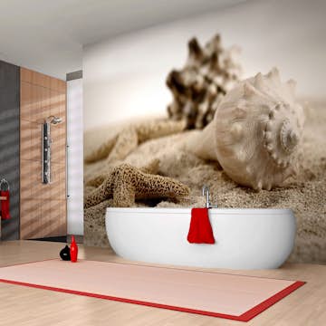 Fototapet Arkiio Strand Och Mussla