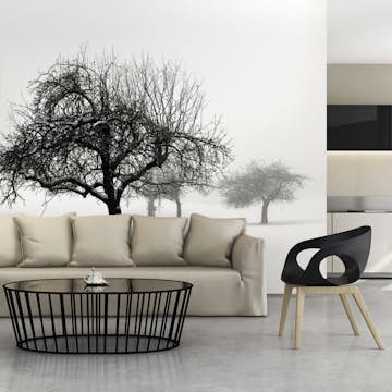 Fototapet Arkiio Winter: Trees