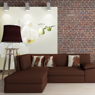 Fototapet Arkiio Orchidwhite