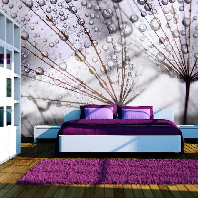 Fototapet Arkiio Maskros Och Morgondagg