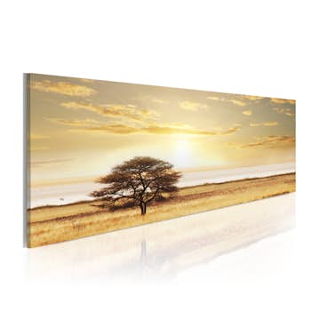 Tavla Arkiio Lonely Tree On Savannah