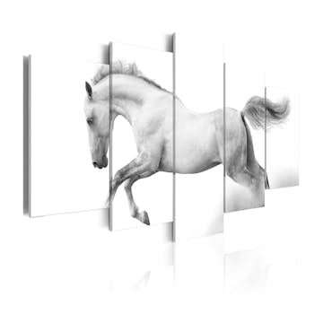 Tavla Arkiio Horse Passion And Freedom