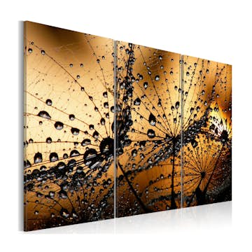 Tavla Arkiio Dandelions And Dew