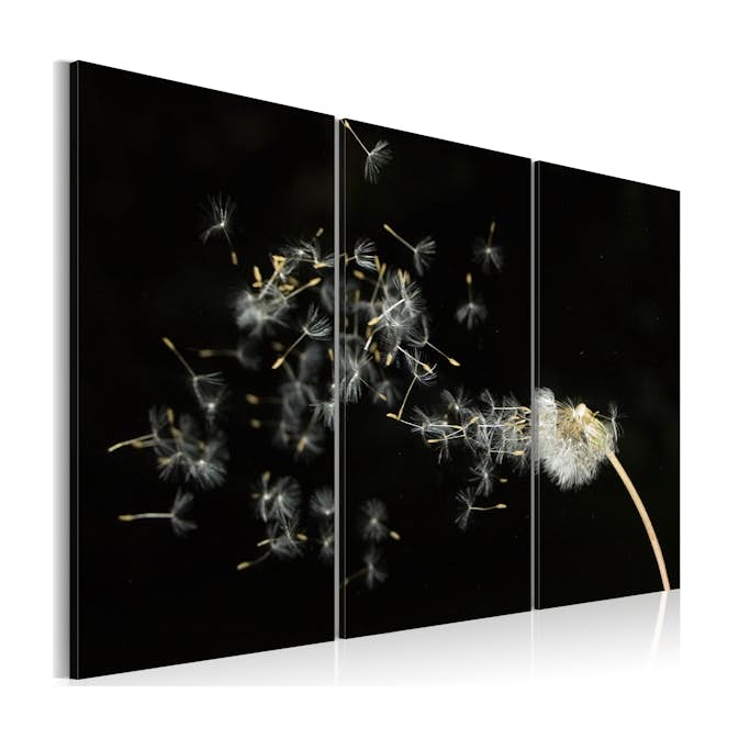 Tavla Arkiio Dandelions The Transience