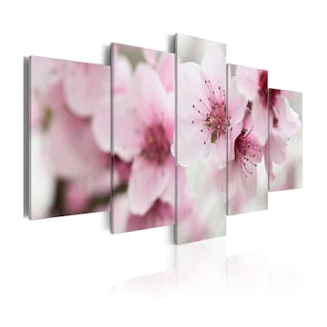 Tavla Arkiio Cherry Gentleness And Beauty