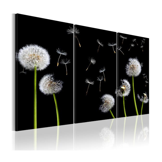 Tavla Arkiio Dandelions Family