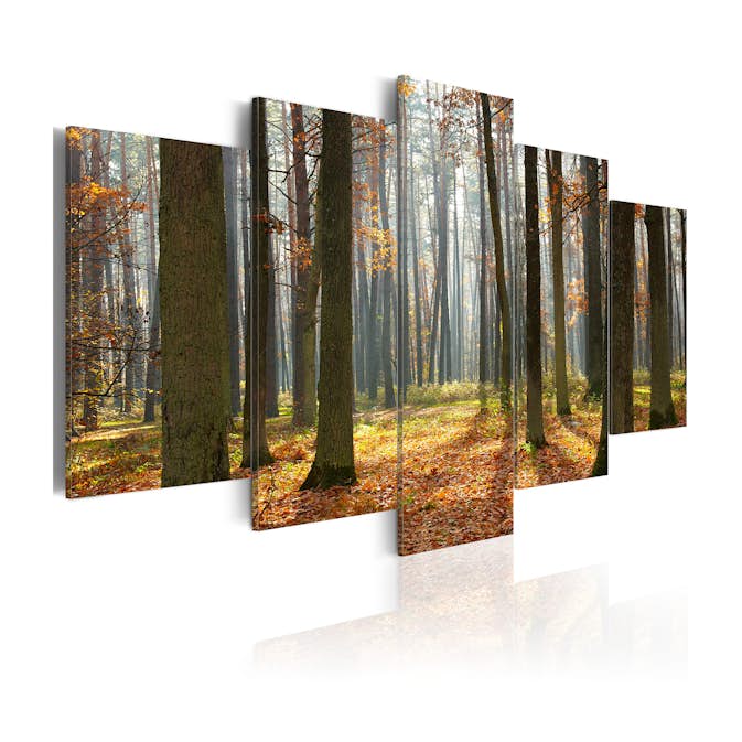 Tavla Arkiio A Nice Forest Landscape