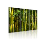 Tavla Arkiio Green Bamboo 60x40