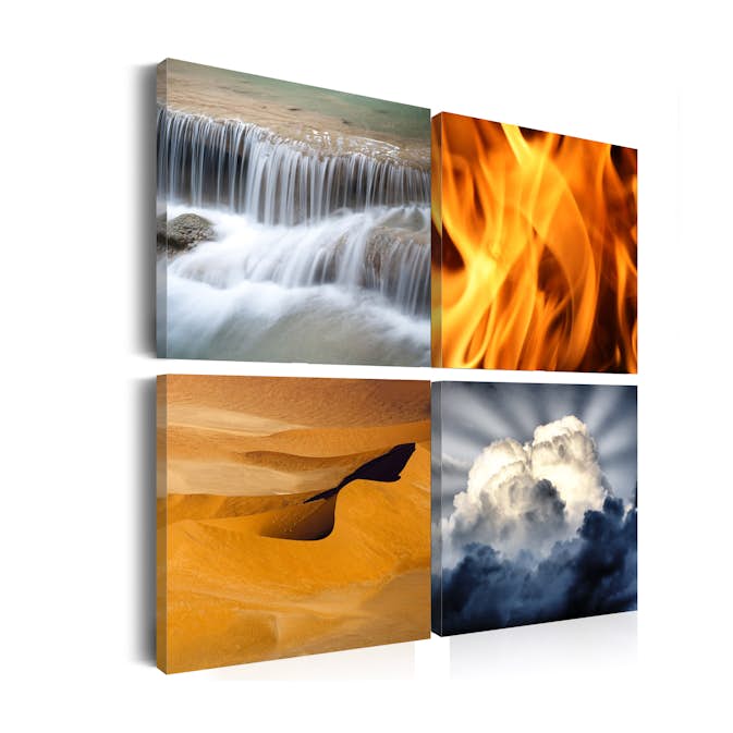 Tavla Arkiio Naturens Mångfald