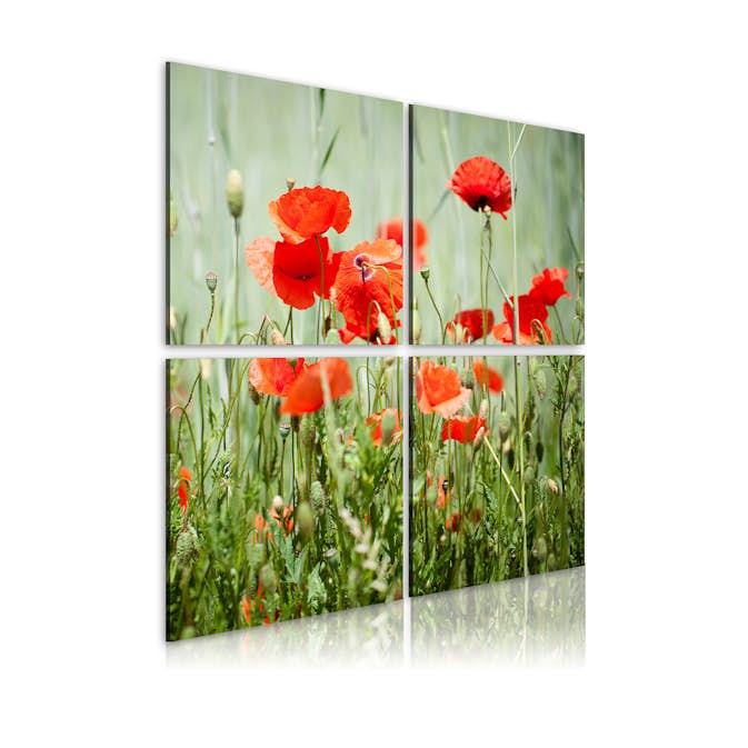 Tavla Arkiio Springtime