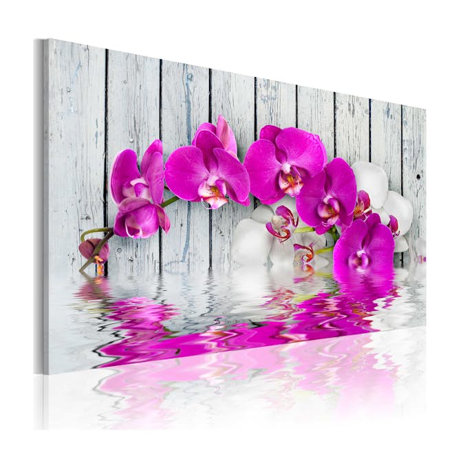 Tavla Arkiio Harmoni Orkidé 60x40