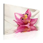 Tavla Arkiio Unusual Orchid 60x40