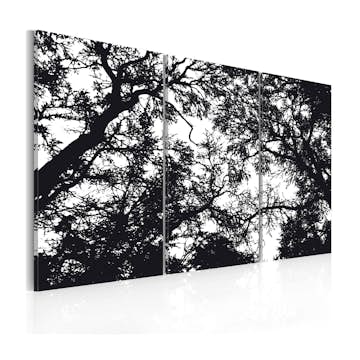 Tavla Arkiio Tät Skog