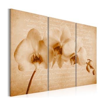 Tavla Arkiio Orkidé Vintage