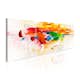 Tavla Arkiio Colors Celebration