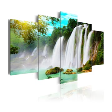 Tavla Arkiio Nature's Miracle