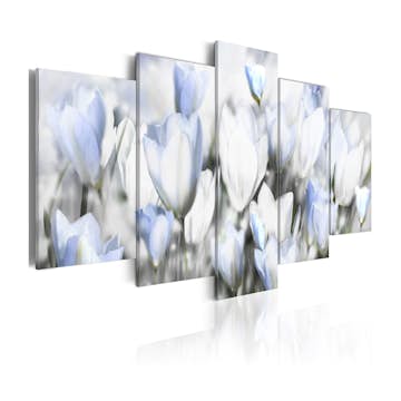 Tavla Arkiio Garden Of Hope