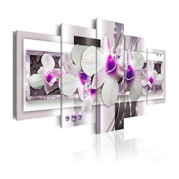 Tavla Arkiio With Violet Accent