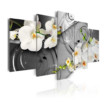 Tavla Arkiio Milky Orchids