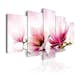 Tavla Arkiio Magnolias Pink Flowers