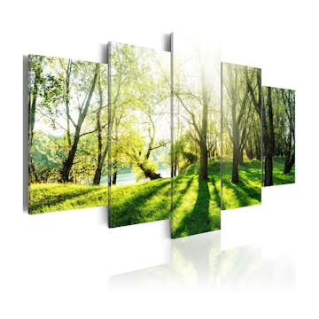 Tavla Arkiio Green Glade