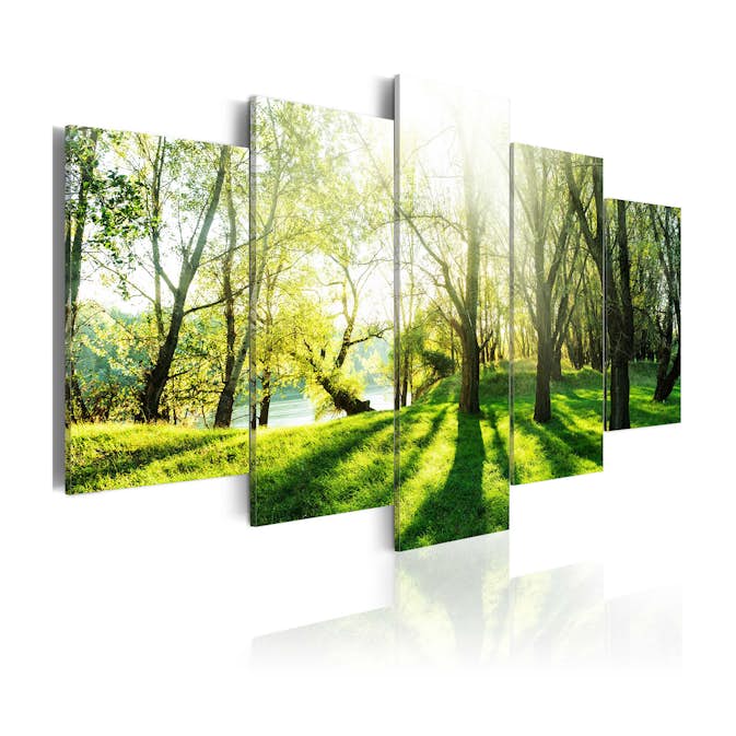 Tavla Arkiio Green Glade