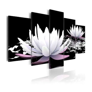 Tavla Arkiio Passing Beauty