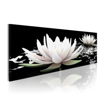 Tavla Arkiio Lily Cruise