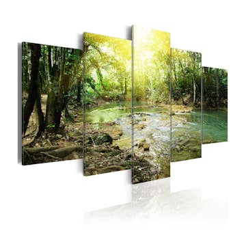 Tavla Arkiio Forest River