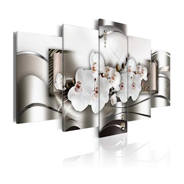 Tavla Arkiio Orchid Riddle