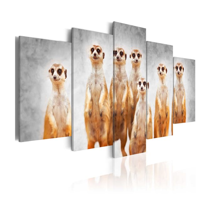 Tavla Arkiio Meerkats
