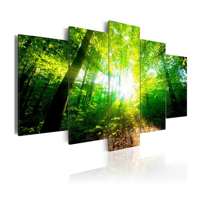 Tavla Arkiio Wonderful Morning