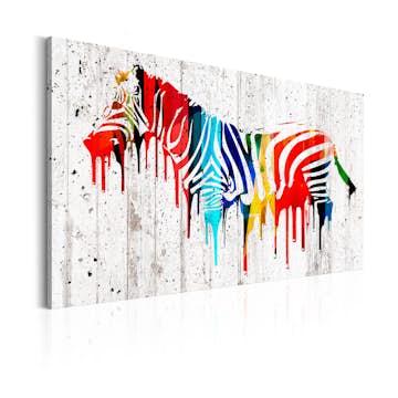 Tavla Arkiio Colourful Zebra