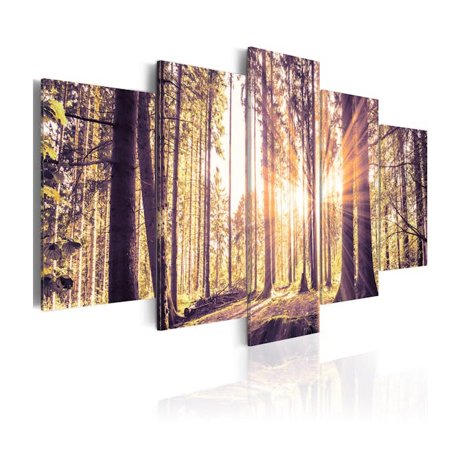 Tavla Arkiio Morning Idyll