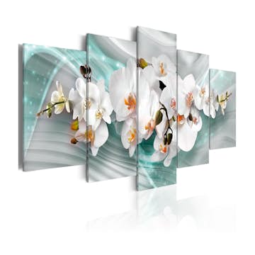 Tavla Arkiio Blue Trail