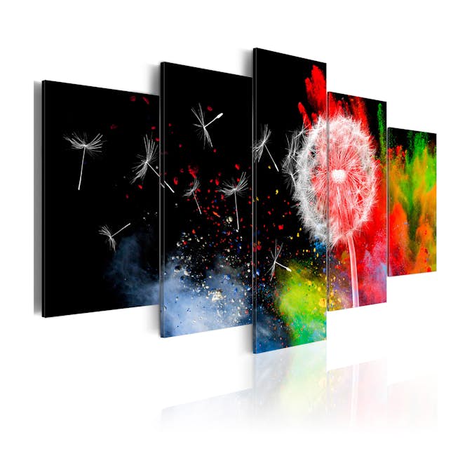 Tavla Arkiio Festival Of Colours