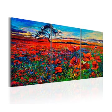 Tavla Arkiio Valley Of Poppies