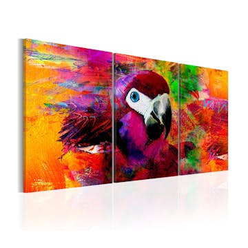 Tavla Arkiio Jungle Of Colours