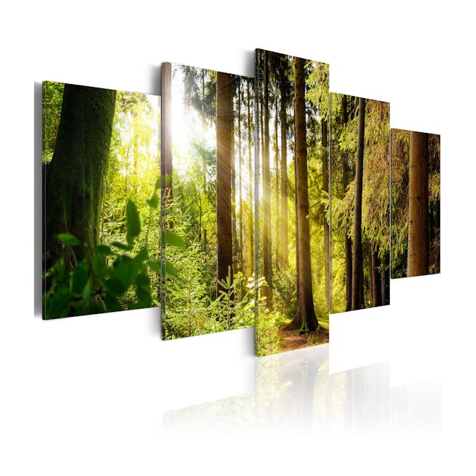 Tavla Arkiio Morning's Song