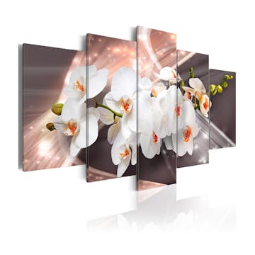 Tavla Arkiio Echo Of Beauty